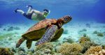 Sardines and Sea Turtles Snorkeling and Canyoneering to Kawasan Falls