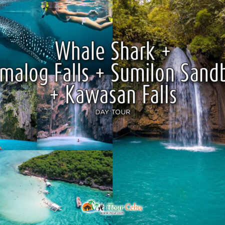 Whale Shark + Tumalog Falls + Sumilon Sandbar + Kawasan Falls