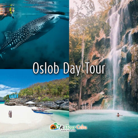 Oslob Day Tour