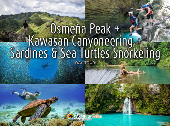 Osmeña Peak + Kawasan Canyoneering + Sardines and Sea Turtles Snorkeling