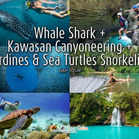 Whale Shark + Kawasan Canyoneering + Sardines and Sea Turtles Snorkeling