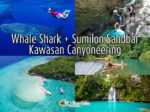 Whale Shark + Sumilon Sandbar + Kawasan Canyoneering Day Tour