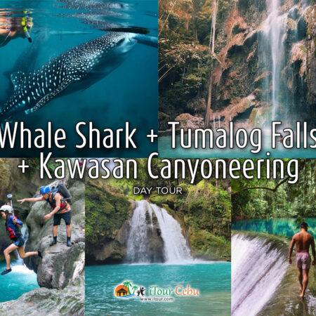 Whale Shark + Tumalog Falls + Kawasan Canyoneering Day Tour